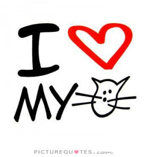 my favourite cat photo of the i love my cat quotes i love my cat