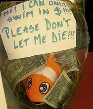 clever tip jar finding nemo swimming money