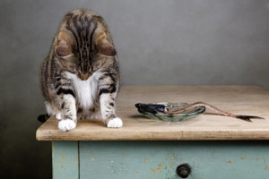 When a Small Business's Vital Data is Compromised or Hacked, Who is To ...