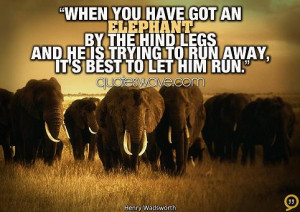 When you have got an elephant by the hind legs and he is trying to run ...