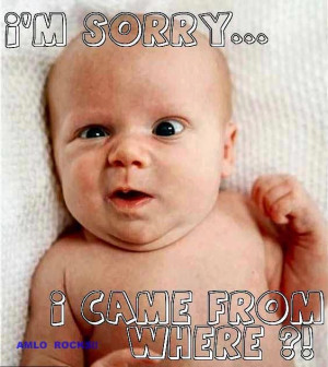 Found on jokideo.com