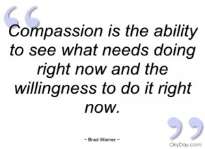 compassion is the ability to see what