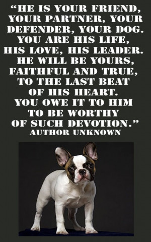 , YOUR PARTNER, YOUR DEFENDER, YOUR DOG.YOU ARE HIS LIFE, HIS LOVE ...