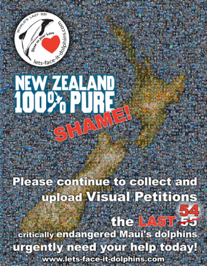 ... for TMP (Threat Management Plan) reopened for Maui's Dolphins