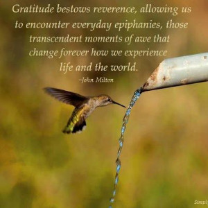 Gratitude bestows reverence,