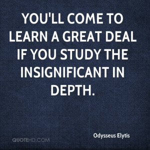 You'll come to learn a great deal if you study the Insignificant in ...