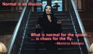 Normal is an illusion. What is normal for the spider... is chaos for ...