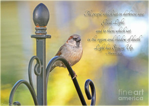 Autumn Sparrow With Verse Photograph