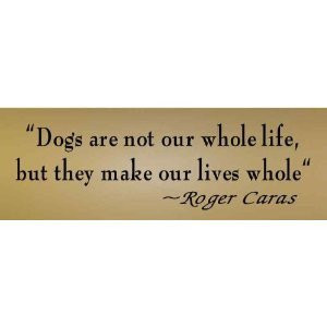 Great dog quotes