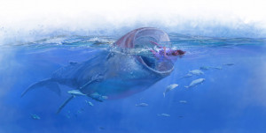 Jonah Whale