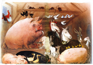 animal farm