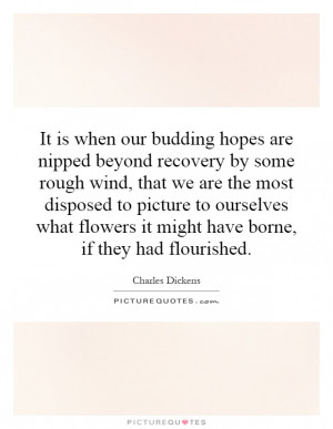 It is when our budding hopes are nipped beyond recovery by some rough ...