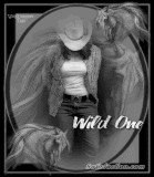 Cowgirl, Cowboy & Redneck Preview Image 1