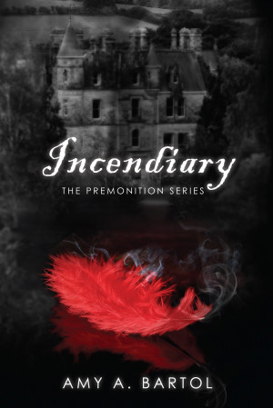 Incendiary+Front+Cover.3979022-Incendiary-ps3FIN_110112.jpg