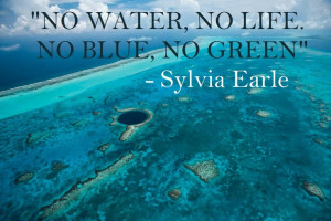 We love this quote and we love Sylvia Earle and her tireless energy ...