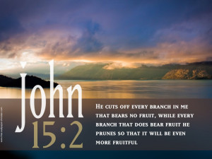 John 15:2 – Fruitful Papel de Parede Imagem