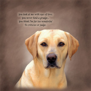 Labrador Retriever Poetic Portraits - Eyes of Love