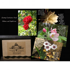 Bible Greeting Cards (Set of 8) - Israel365