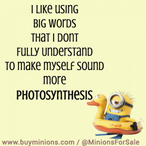 Funny Minion Quotes