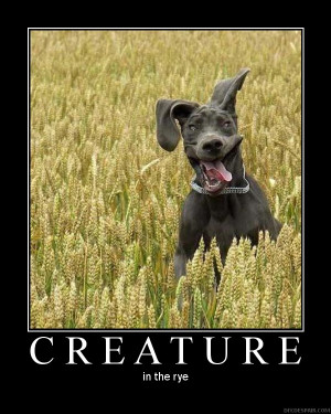 Img Imageshack Motcf