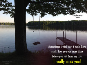 Missing You Quote: Sometimes I wish that I could have...
