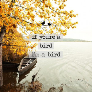 Cute Wall Art, If Your A Bird, The Notebook, Love Quote, Quotes ...