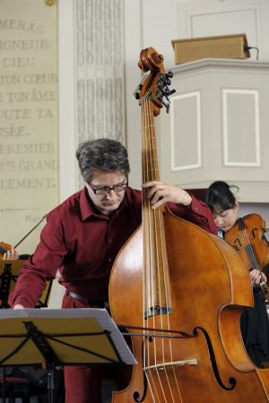 Viola Instrument Quotes Korneel with the krattenmacher