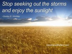 ... seeking out the storms and enjoy the sunlight.