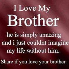 Big Brother Protecting Little Sister Quotes