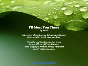 Rumi-Ill-Meet-you-There-300x225.jpg