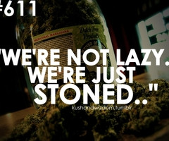 stoners quotes top 10 stoner quotes