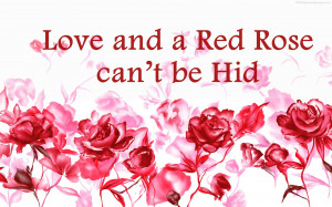 Red Rose Day Quotes Images, Pictures, Photos, HD Wallpapers