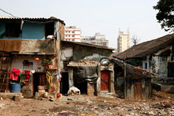 Twitter Facebook LinkedIn Google Email Print Comment Quote