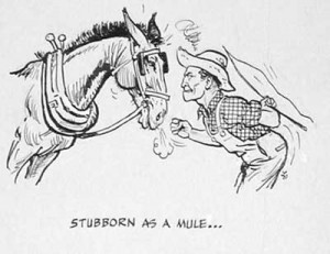 41 1 39 subject stubborn as a mule page 34 original 7 x 6 $ 150 00