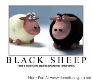 Funny Quotes | Top 20 most #funny #quotes of all time