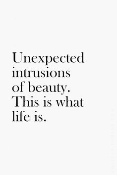 intrusions of beauty. This is what life is.