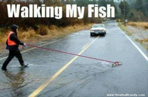 ... fish humor fish jokes fish walking fishing humor humor its been