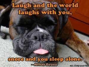 Let sleeping dogs lie...unless their snoring ... | good quotes and sa ...