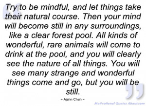 try to be mindful ajahn chah