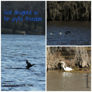 Quote from The Wall Around Your Heart by Mary Demuth #openheart @Mary ...