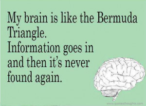Funny Quotes-Thoughts-Bermuda Triangle-Brain-Information-Best-Nice