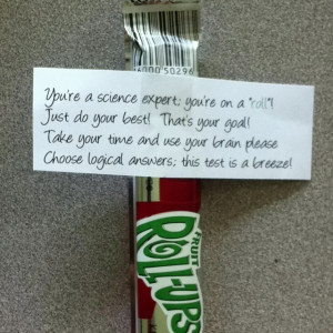 Science SOL testing treat: Sol Test, Science Staar, Rolls Up Test, Sol ...