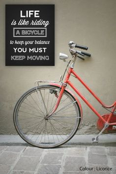 ... Like Riding a Bicycle canvas text print. Einstein quote for cycling