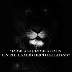 Rise and rise again until lambs become lions. Quote from the movie ...