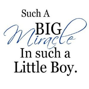 Little Boys Quotes And Sayings