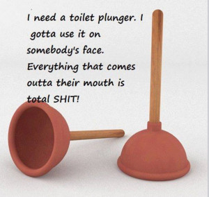 need a toilet plunger