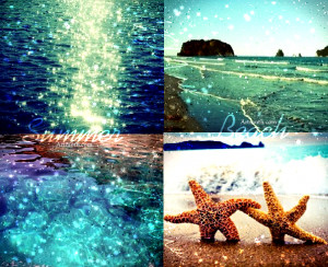 summer photography summer photography pictures