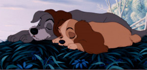 Favorite pairing: lady and the tramp :)