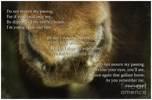 Equine Sympathy Card Poem...