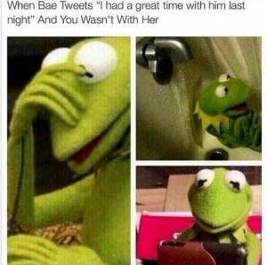 Top 20 Funniest Kermit The Frog Memes